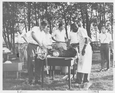 Approximately eight men at a barbecue