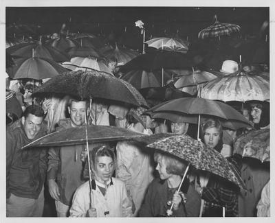 Homecoming; it is raining and many students with umbrellas. Lexington Herald-Leader staff photo