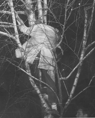 Male student climbs a tree at the holiday protest riot; Photographer: R. W. Schuler