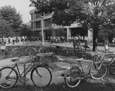 Bicycles parked around the ancient tree stump in front of the White Hall Classroom Building
