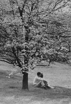 Students sitting under a tree in the Botanical Gardens on the University of Kentucky campus; Lexington Herald - Leader staff photo