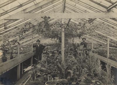 Two men stand in a greenhouse or conservatory operated by the University of Kentucky College of Agriculture in 1890; Donated 1948, July 29 by T. R. Bryant