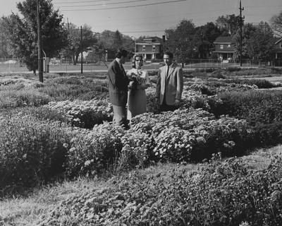 Two men and a woman stand in a flower bed
