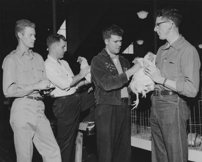 Agricultural Poultry Judging; Robert G. Maddox and Eugene Spicer at left