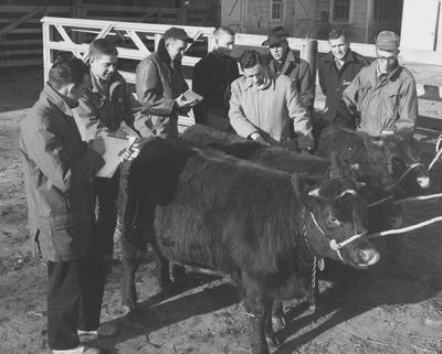 Beef cattle judging team at a fair exhibit; Left to right: unidentified, Maurice Ham, Joe McCarty, George Brown, unidentified, Robert W. Hicks, unidentified, Doug Henshaw