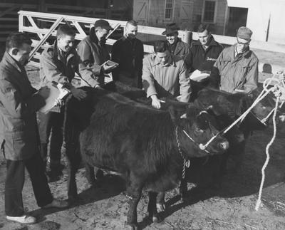 Beef cattle judging team at a fair exhibit; Left to right: unidentified, Maurice Ham, Joe McCarty, George Brown, unidentified, Robert W. Hicks, unidentified, Doug Henshaw