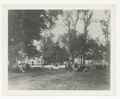 Picnic grounds at the Trotting Track