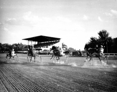 Horses on trotting track: 