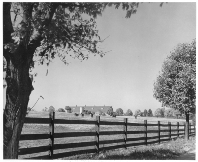 Fenced-in pasture with horses, barn in the distance