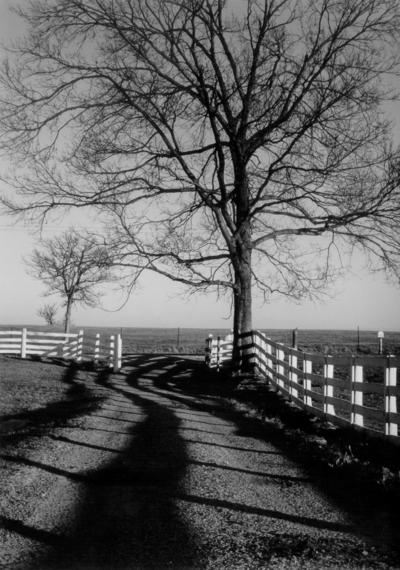 Driveway and gate