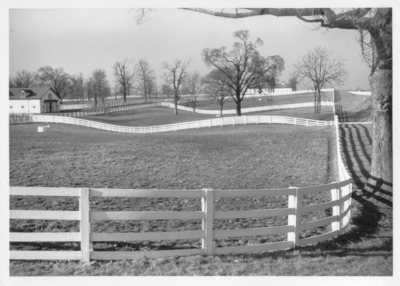 Calumet Farm, with white fences