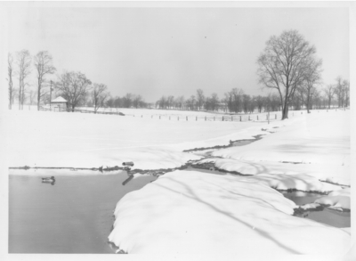 Pond at Winburn Farm, Fayette County