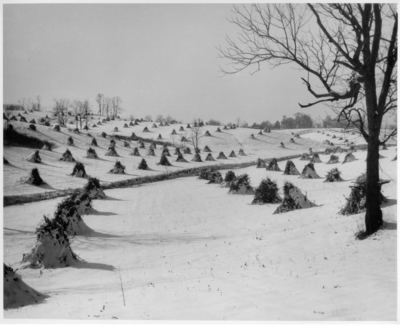 Stacks of hay in snow