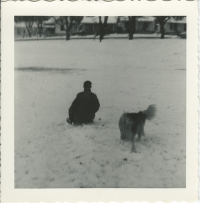 boy and dog playing in the snow