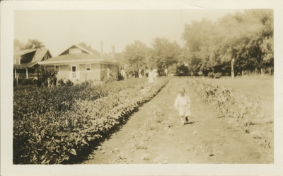 field behind house, small child