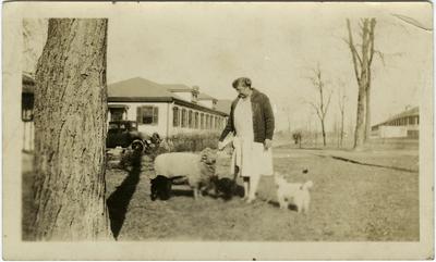 Unidentified African American woman feeding a sheep