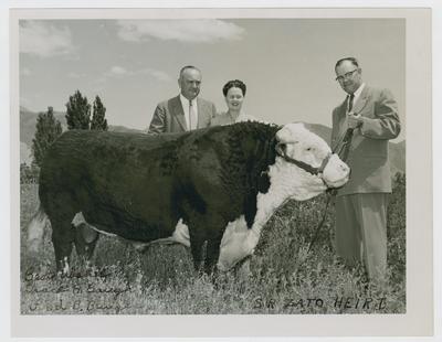 Adolph Rupp with the Braughs and their bull