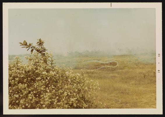Field before battle - haze where smoke bombs were dropped