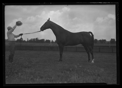 Man w/ horse by reins