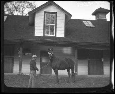 Horse in front of barn
