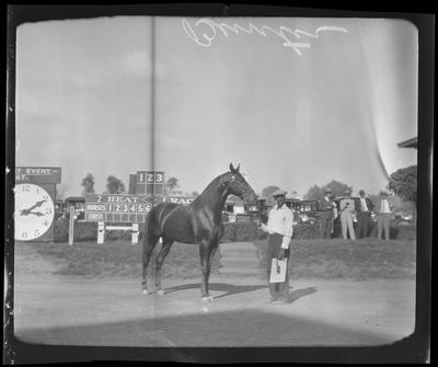 Horse at track (Bunter)