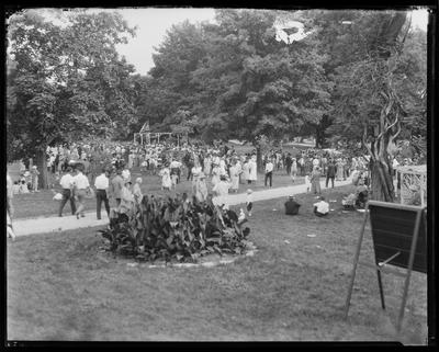 Large crowd at a picnic (DAMAGED)