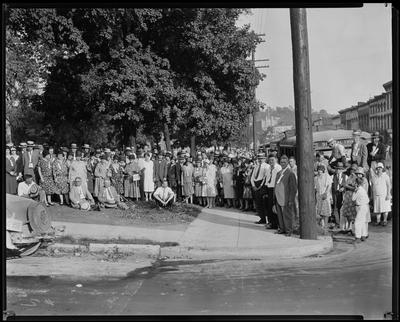 People standing under a tree, trolley car