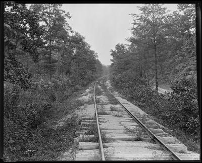 Single railroad track through wooded area
