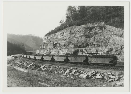 Elkhorn Jellico Coal Company; Sapphire Mine, Camp Branch - row of coal cars