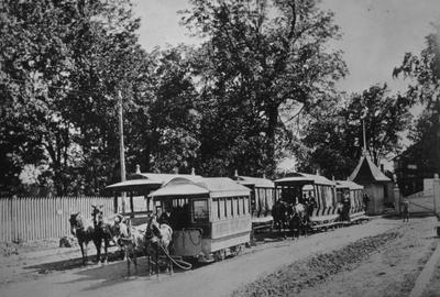 Horsecarts at Woodland Park