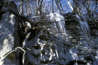 Shaker Landing Road - Note on slide: View of Shaker Landing