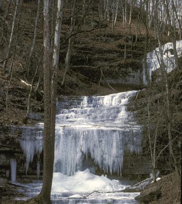 Falls at Shaker Landing - Note on slide: View of Shaker Landing falls