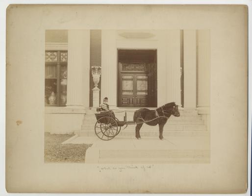 Clara D. Bell in carriage pulled by Shetland pony in front of Bell Place
