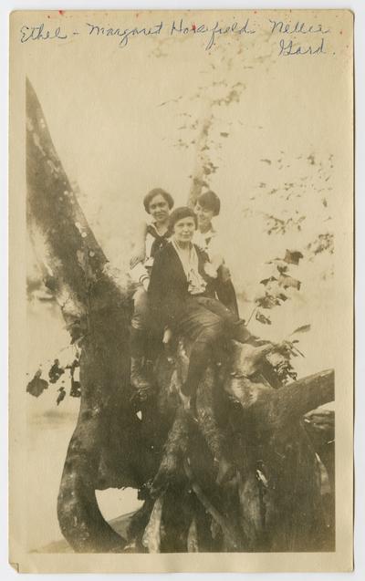 Ethel, Margaret Horsefield, Nellie Gard [sitting in a tree] on Kentucky River, 1919-1923