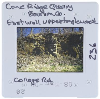 Cane Ridge Quarry, Bourbon County, East Wall Upper Tanglewood [Farm] College Road