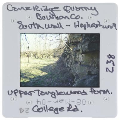 Cane Ridge Quarry Courbon County South Wall - Highest wall, Upper Tanglewood Farm. College Road