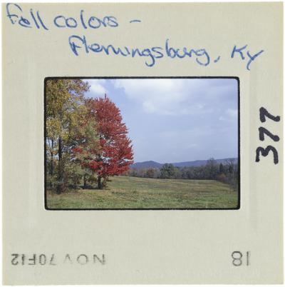Fall colors - Flemingsburg, Kentucky