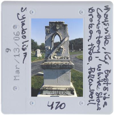 Maysville, Kentucky, Eastside Cemetery, white stone, broken tree, fallen wall, symbolism