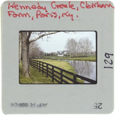 Kennedy Creek, Clairborne Farm, Paris, Kentucky