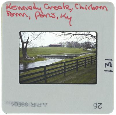 Kennedy Creek, Clairborne Farm, Paris, Kentucky