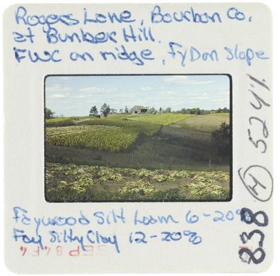 Rogers Lane, Bourbon County at Bunker Hill - FWC on ridge, [fydon] slope, faywood silt loam 6-20 percent, fay silty clay 12-20 percent
