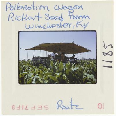 Pollenation Wagon Rickert Seed Farm - Winchester, Kentucky