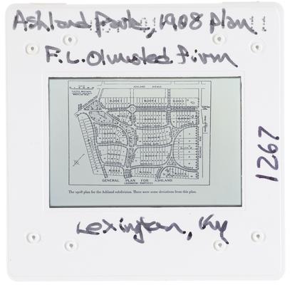 Ashland Park 1908 Plan F.L. Olmsted Firm Lexington, Kentucky