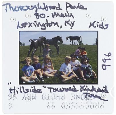 Thoroughbred Park, South Main, Lexington, Kentuckyy - Kids - Hillside Toward Kinkaid Tower