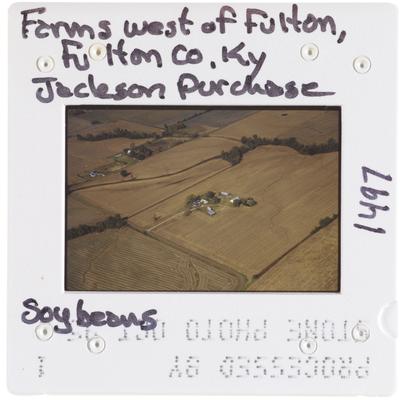 Farms west of Fulton, Fulton County, Kentucky - Jackson Purchase - Soybeans