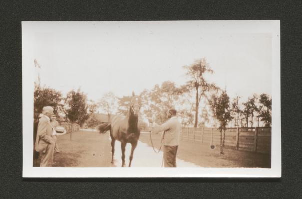 African American man leading a horse, Samuel M. Wilson standing on the left