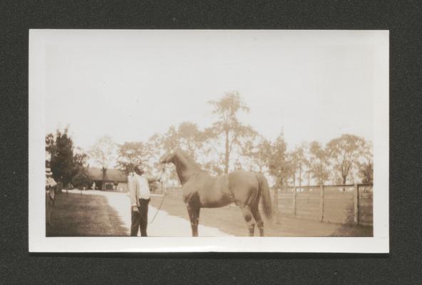 African American man standing with a horse