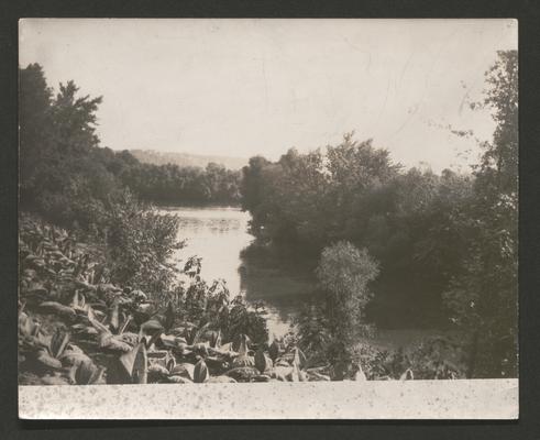 Mouth of Main Elkhorn Creek where it joins the Kentucky River, in Franklin County, KY. Picture taken July 14, 1931 by Sam'l [Samuel] M. Wilson