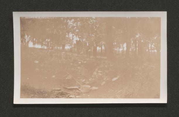 Three men in woods