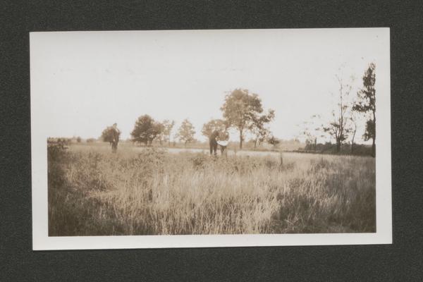 Three men in a field (Duplicate of #59.)